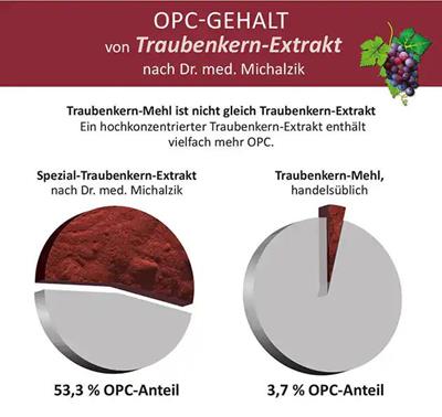 Biotikon OPC Premium Plus - extrakt z hroznových jadier s nemeckým certifikátom (450 mg s obsahom 320 mg čistého OPC a extraktom z Camu Camu), 90 kapsúl