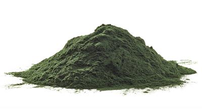 Chlorella vulgaris v bio-kvalite