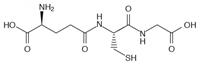 L-Lysin
